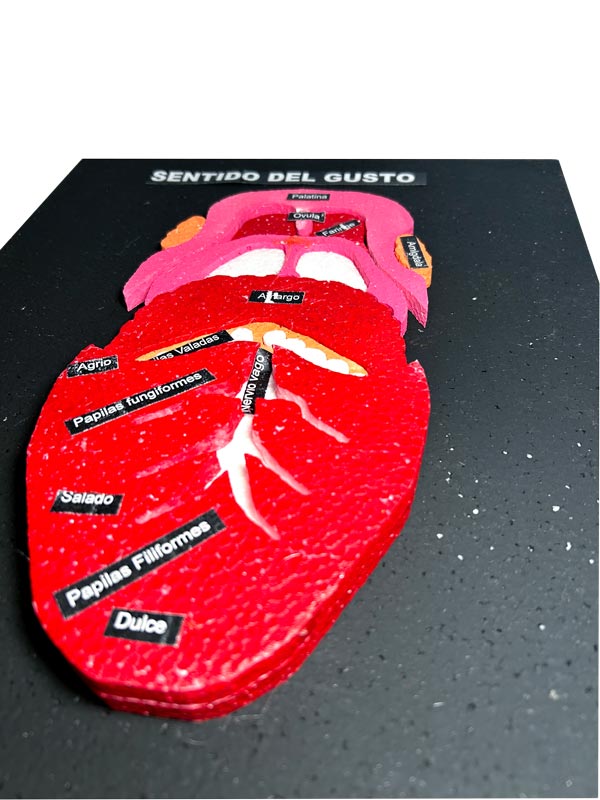 Archivador palanca Oficio Milcar | La Selva